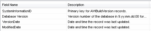 DTM Schema Reporter: field descriptions or comments