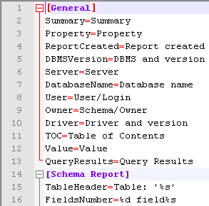 DTM Schema Reporter: string customization template