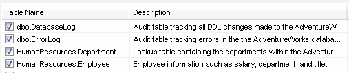 DTM Schema Reporter: table descriptions or comments