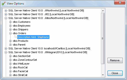 DTM Data Editor: View options dialog