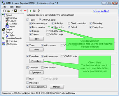 DTM Schema Reporter: Object selection to be reported