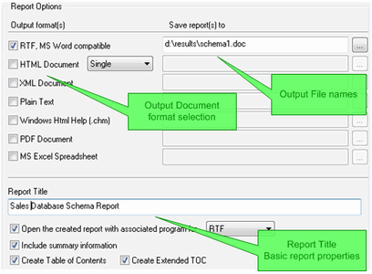 DTM Schema Reporter: database schema reporting options