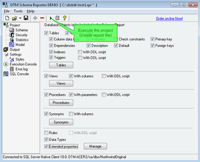 Run the database schema reporting process