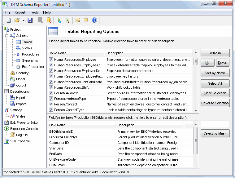 DTM Schema Reporter: main window