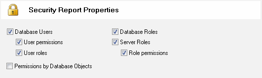 DTM Schema Reporter Online Help: Database Secutiry Report Options